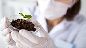 Estudios universitarios