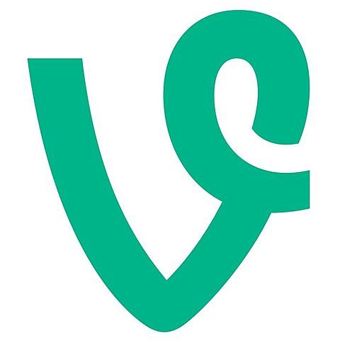 Vine