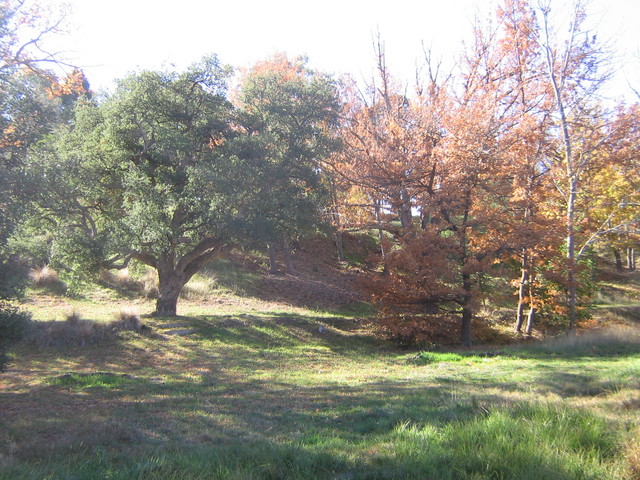 smiths nursery was opened