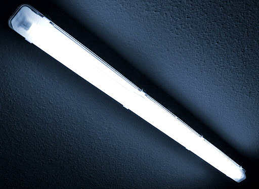 Venta de Tubos de Fluorescencia en la alta sociedad.