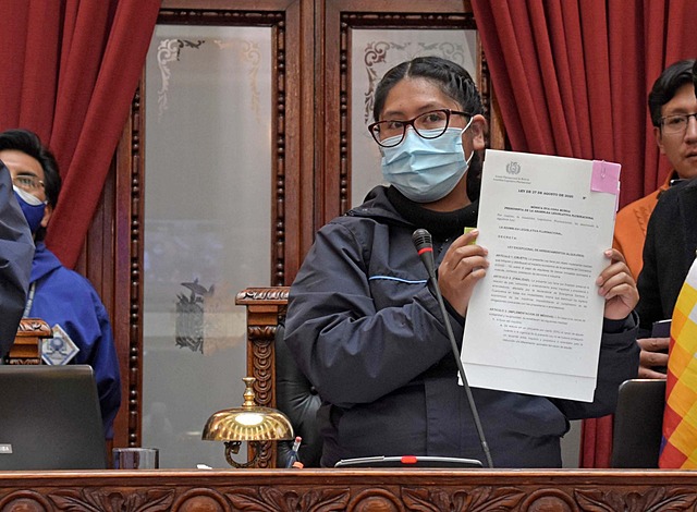 El Tribunal Constitucional rechaza consulta de Añez sobre leyes de alquileres y de plasma