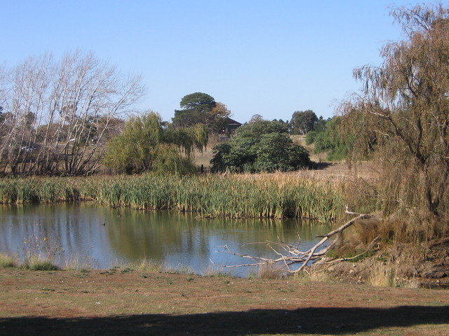 The swimming pool opened