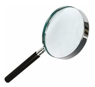 Fundacion de la Ley Federal de Transparencia y Acceso a la Información Pública Gubernamental