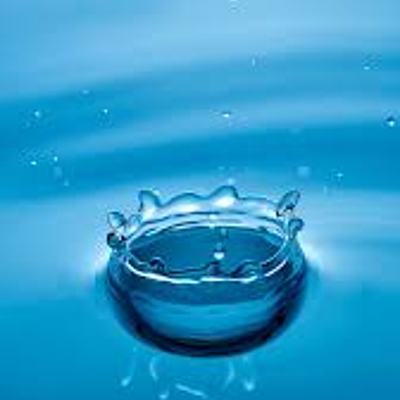 Timeline: Desarrollo histórico de las terapias naturales