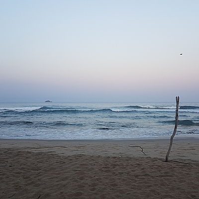 Timeline: La seguridad ambiental y sus componentes.