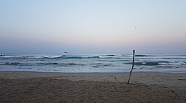 Timeline: La seguridad ambiental y sus componentes.