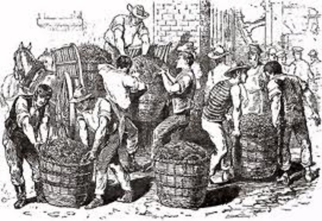 Fundación de laComunidad EconómicaEuropea (CEE)