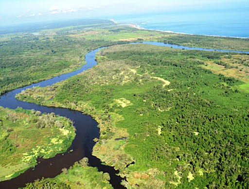 Ley de protección y prevención