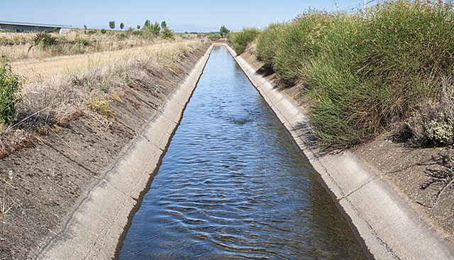 Nuevo líder de investigación