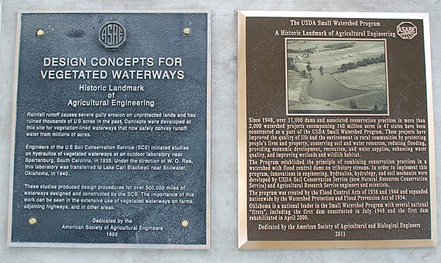 Diseño para vías fluviales con vegetación