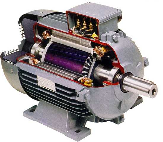 Motor Eléctrico