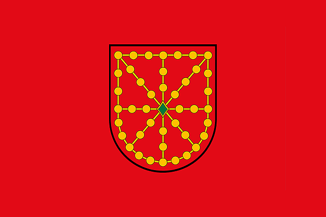 Conquistan Reino de Navarra