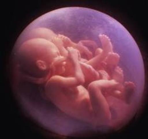 Clonación del primer embrión humano.