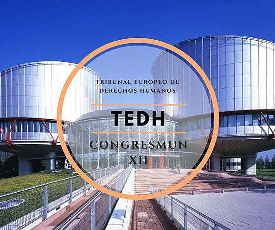 EUROPA. TEDH- Caso Laender