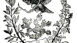 Timeline: Lapso de Tiempo 1821-1824