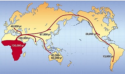 Homo Sapiens en Eurasia