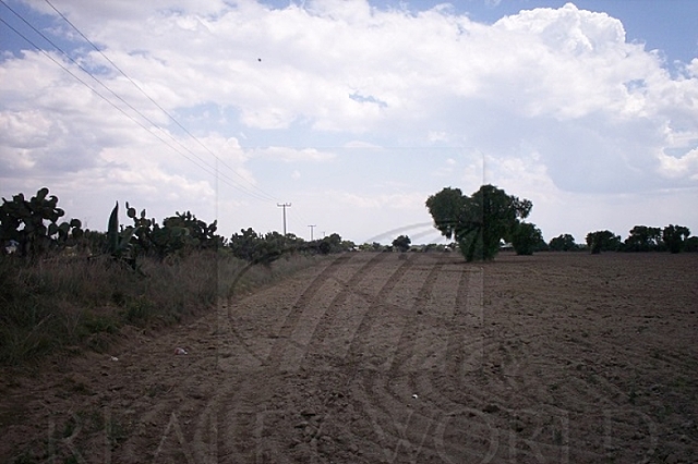 Necesidades y cambios en el municipio