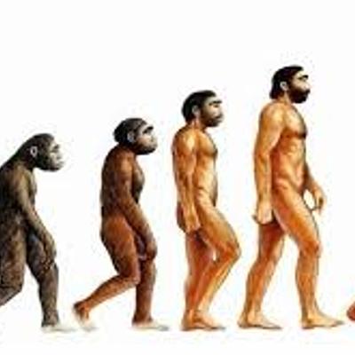 Timeline: La evolución de los homínidos