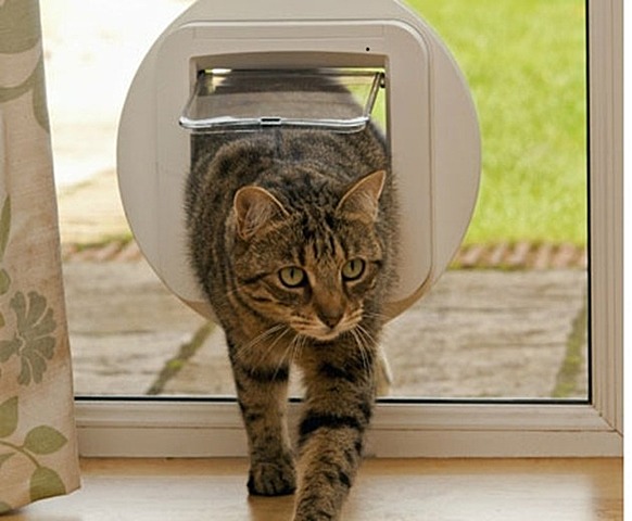 Puertas para gatos Newton