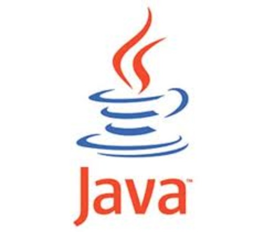 JAVA script