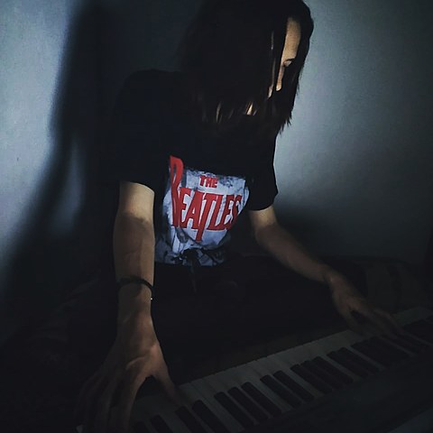 carrera musical en sus inicios y carrera profesional justo en la mitad del camino