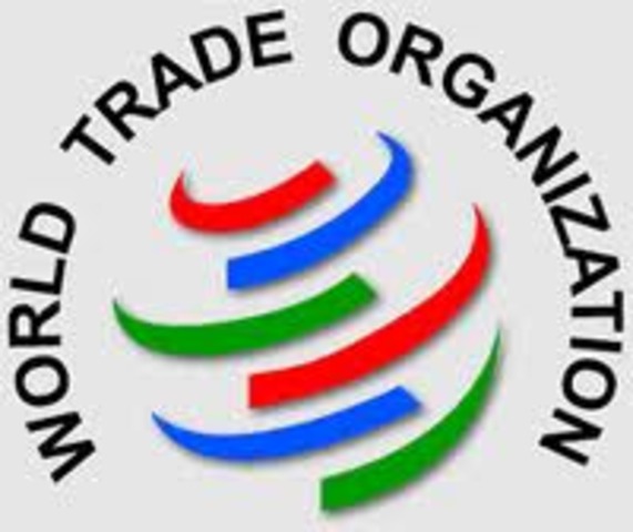 Inicio de la organisazion OMC