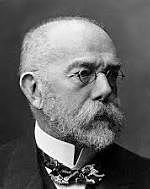 Teoria microbiana/Postulados de Koch