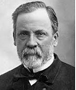 Teoria Microbiana/Pasteur