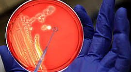 Timeline: HISTORIA DE LA PATOLOGIA HUMANA