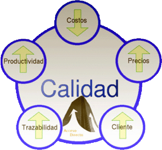 Mejoramiento en la Calidad
