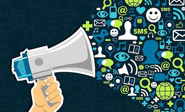 Período de socialización