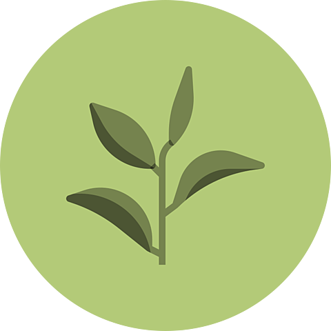 Primer Congreso Nacional sobre Conservación de Recursos Naturales