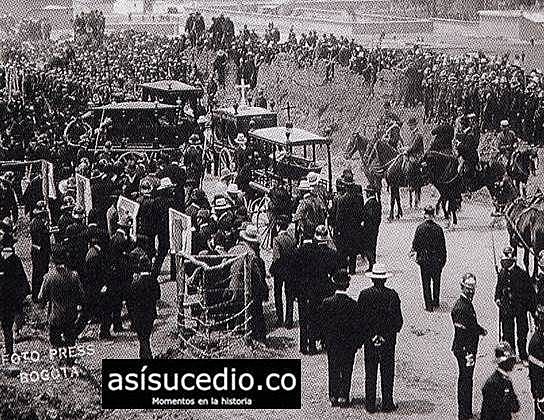 MUTUALISMO EN BOGOTÁ