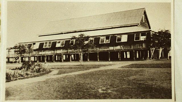 Services provided by the Sisters of Mercy