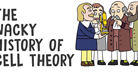 Timeline: History of Cell Theory