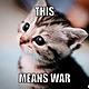 Cute kitten meme generator this means war 50e571