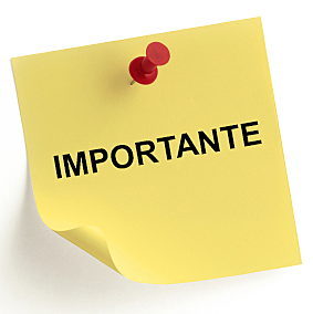 Antecedente Importante