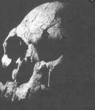 LA ENFERMEDAD Y LA SUPERSTICIÓN