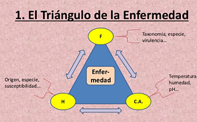TAXONOMÍA DE LAS ENFERMEDADES