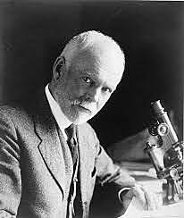 Edmund Beecher Wilson