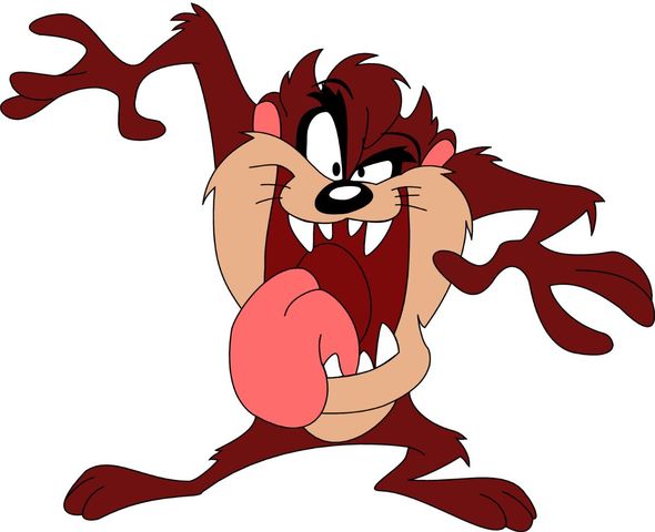 Warner's Tasmanian Devil