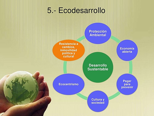 5 DIMENSIONES ECODESARROLLO