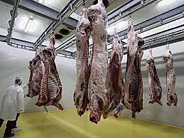 Matadero con normas higiénicas en el comercio de los alimentos.