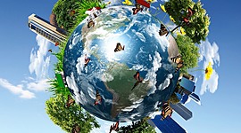 Timeline: Conceptos de Desarrollo