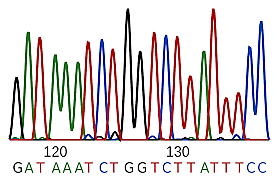 W.Gilbert y F. Sanger