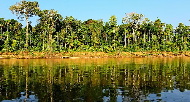 Parque Nacional de Manú