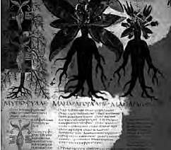 La enfermedad y la Superstición A.C.