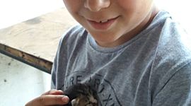 Timeline: Vida de Santi Bernal Ulla