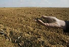 Reparto de tierras y tipos de propiedad.