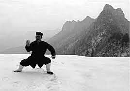 Terapia Natural- Tai chi